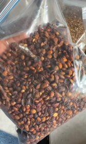 cyphostemma uter var macropus seeds