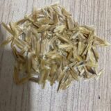 Fouquieria columnaris seeds