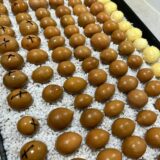 cycas cainsiana seeds