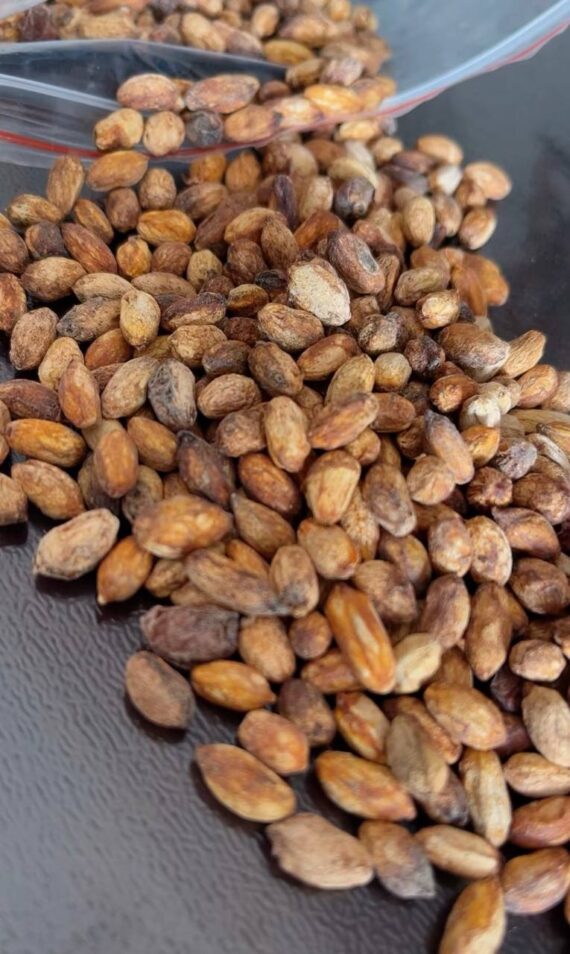 cyphostemma uter Var macropus seeds - Image 4